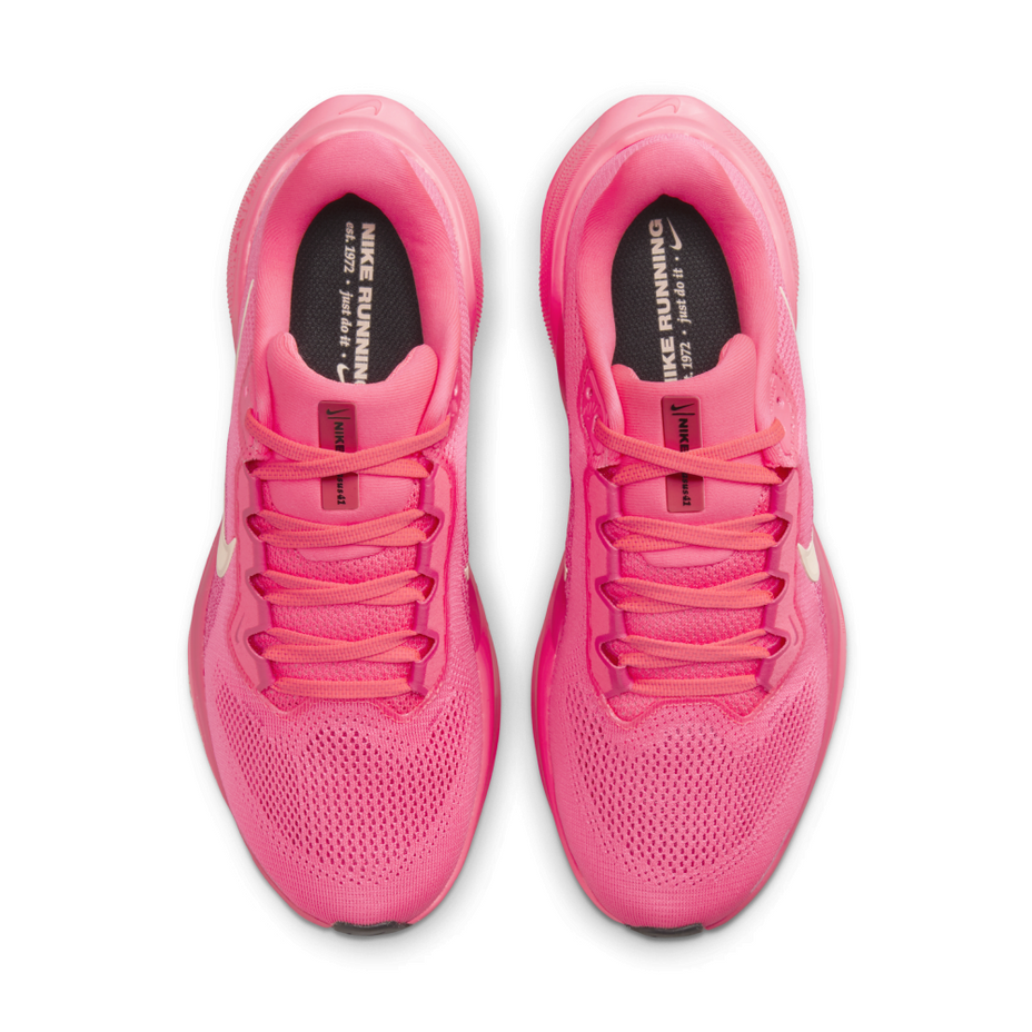 Tênis Nike Pegasus 41 Fd2723